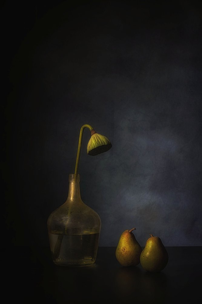 Moody Lotus and Pears by Saskia Dingemans