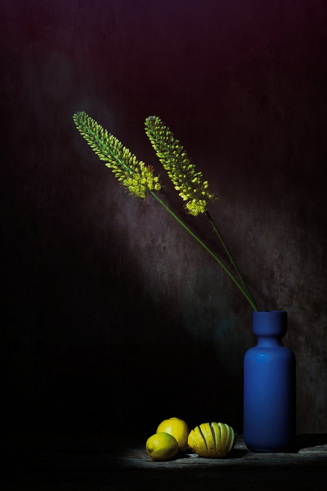 Moody Yellow Flowers Lemons by Saskia Dingemans