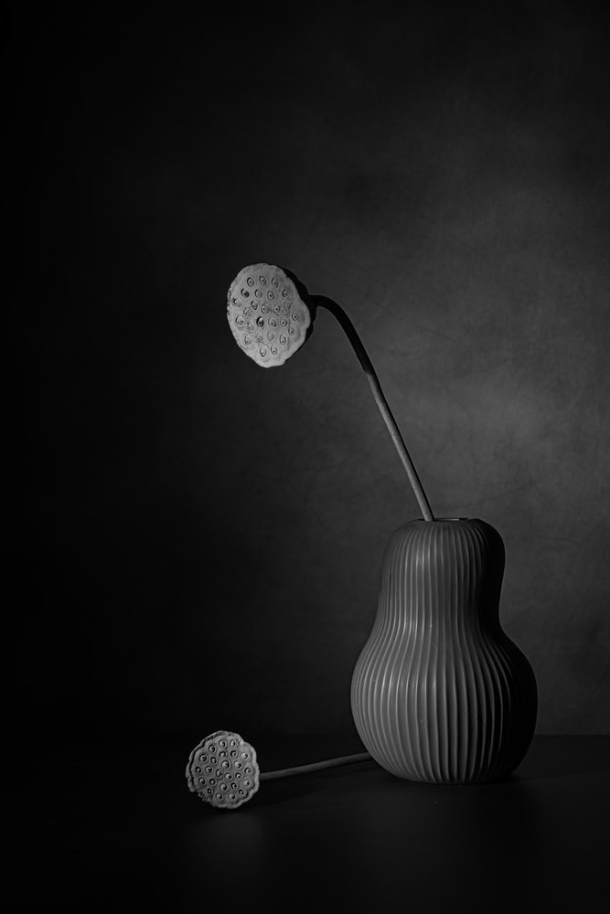 Quiet Lotus Still Life by Saskia Dingemans
