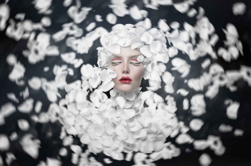 White Petal Dream by See Plus