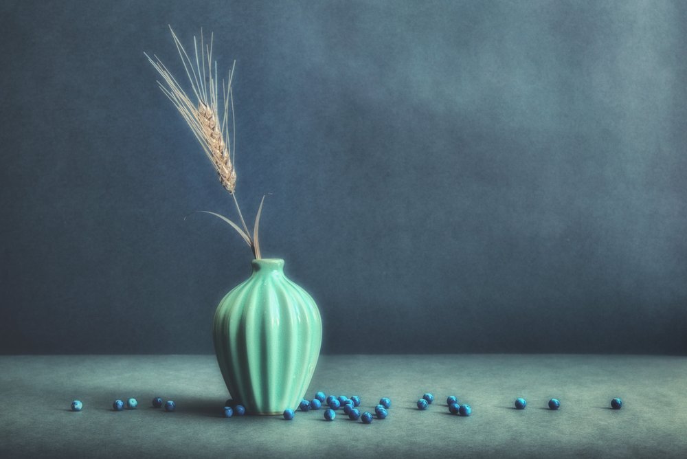 Serene Wheat Still Life by Shahabeddin Montazeri EFIAP