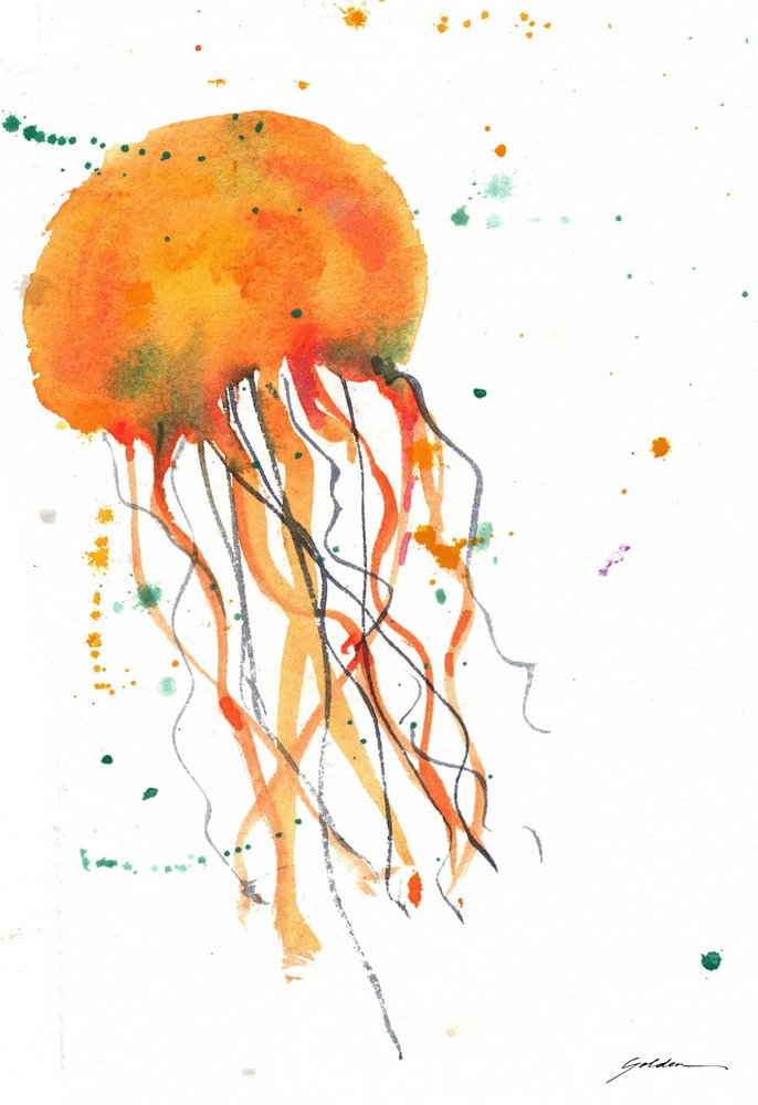 Orange Watercolor Jellyfish by Sheila Golden