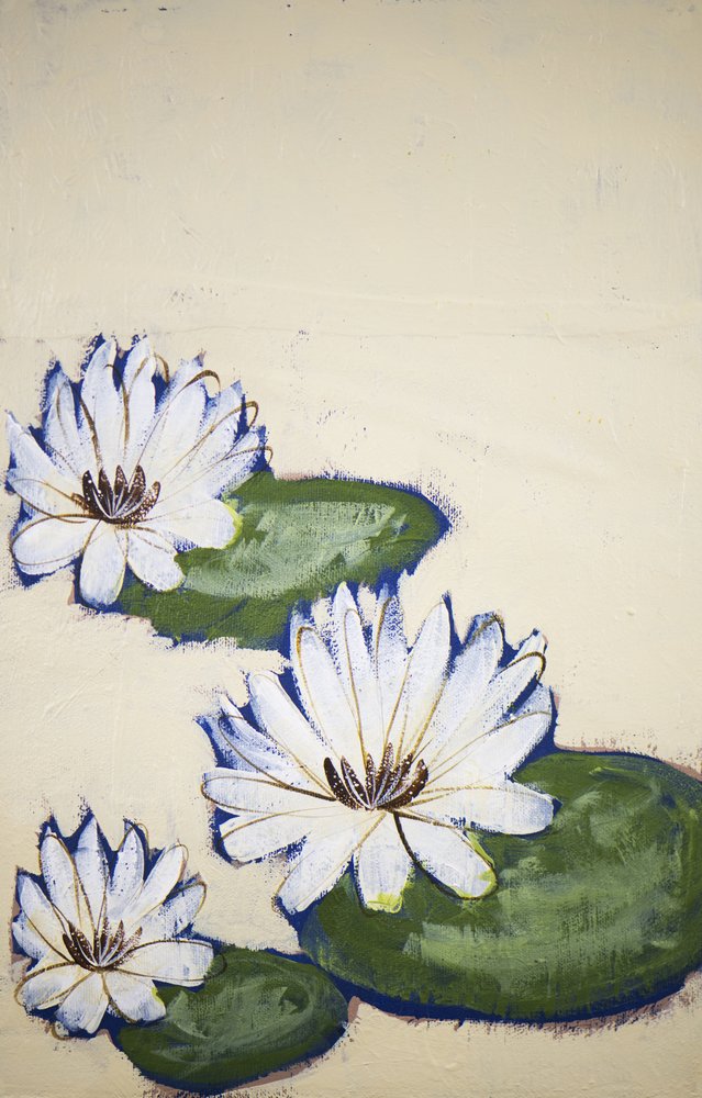 White Water Lilies by Shelley Hampe