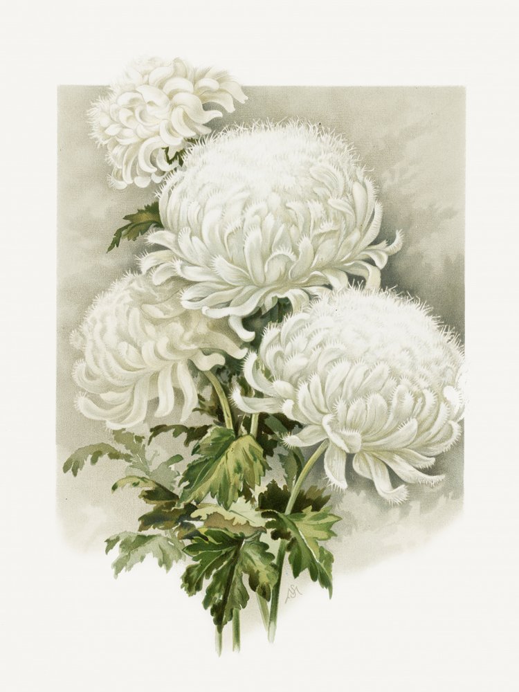 Mrs. Alpheus Hardy by Sidney Thomas Callowhill
