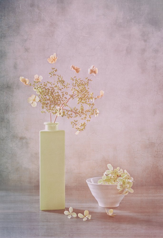 Delicate Pastel Still Life by Sophie Pan
