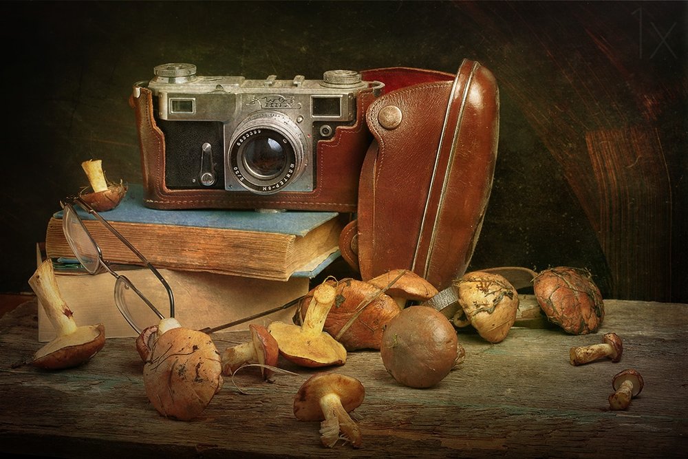 Vintage Camera and Mushrooms by Stanislav Aristov