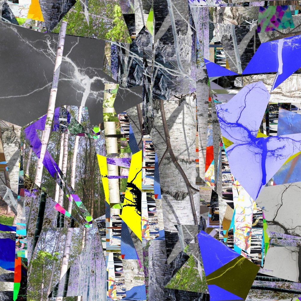 Fragmented Birch Forest by Stefan Fransson