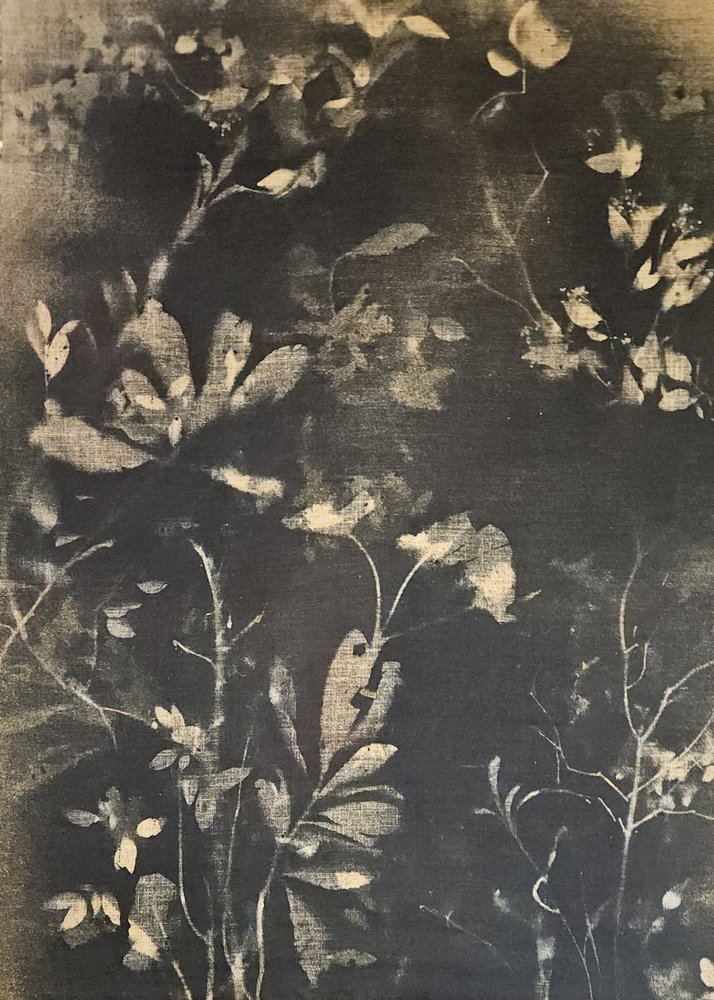 Dark Botanical Study by Stefano Mazzolini