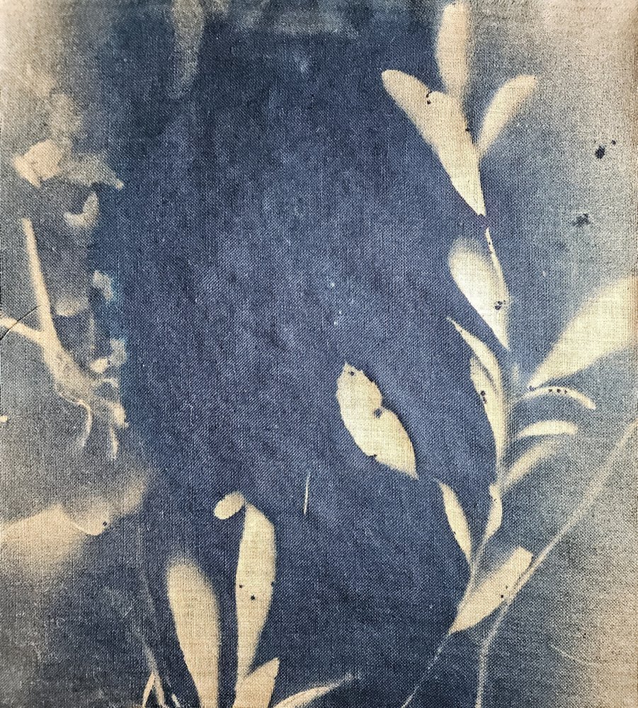 Indigo Leaf Impressions by Stefano Mazzolini