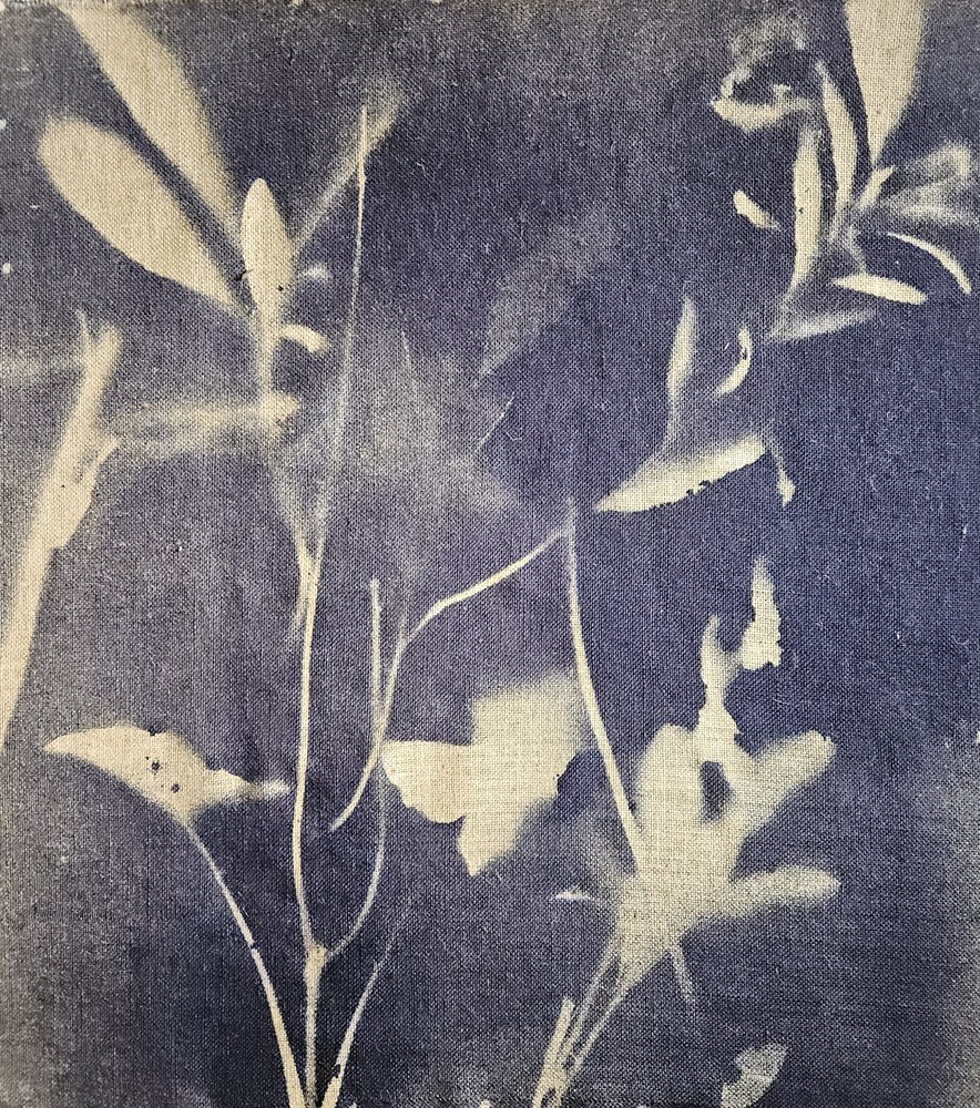 Vintage Botanical Blues by Stefano Mazzolini