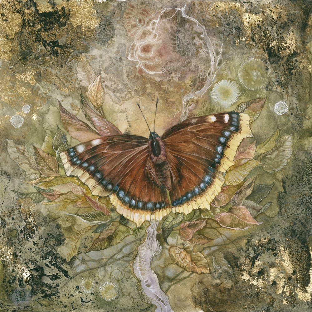 Ethereal Butterfly Wings by Stephanie Law