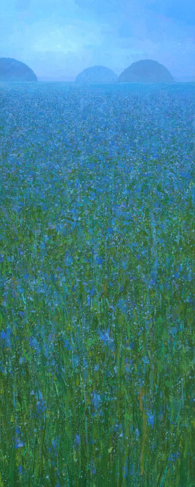 Blue Field Distant Hills by Steve Mitchell