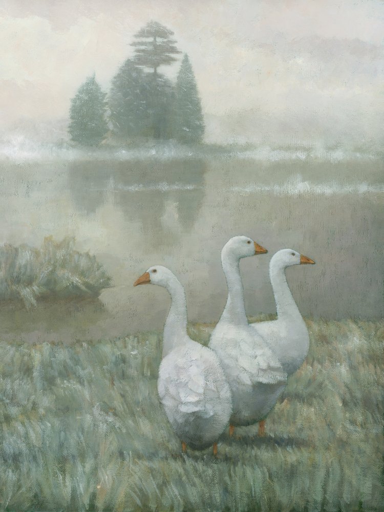 White Geese Morning Mist by Steve Mitchell