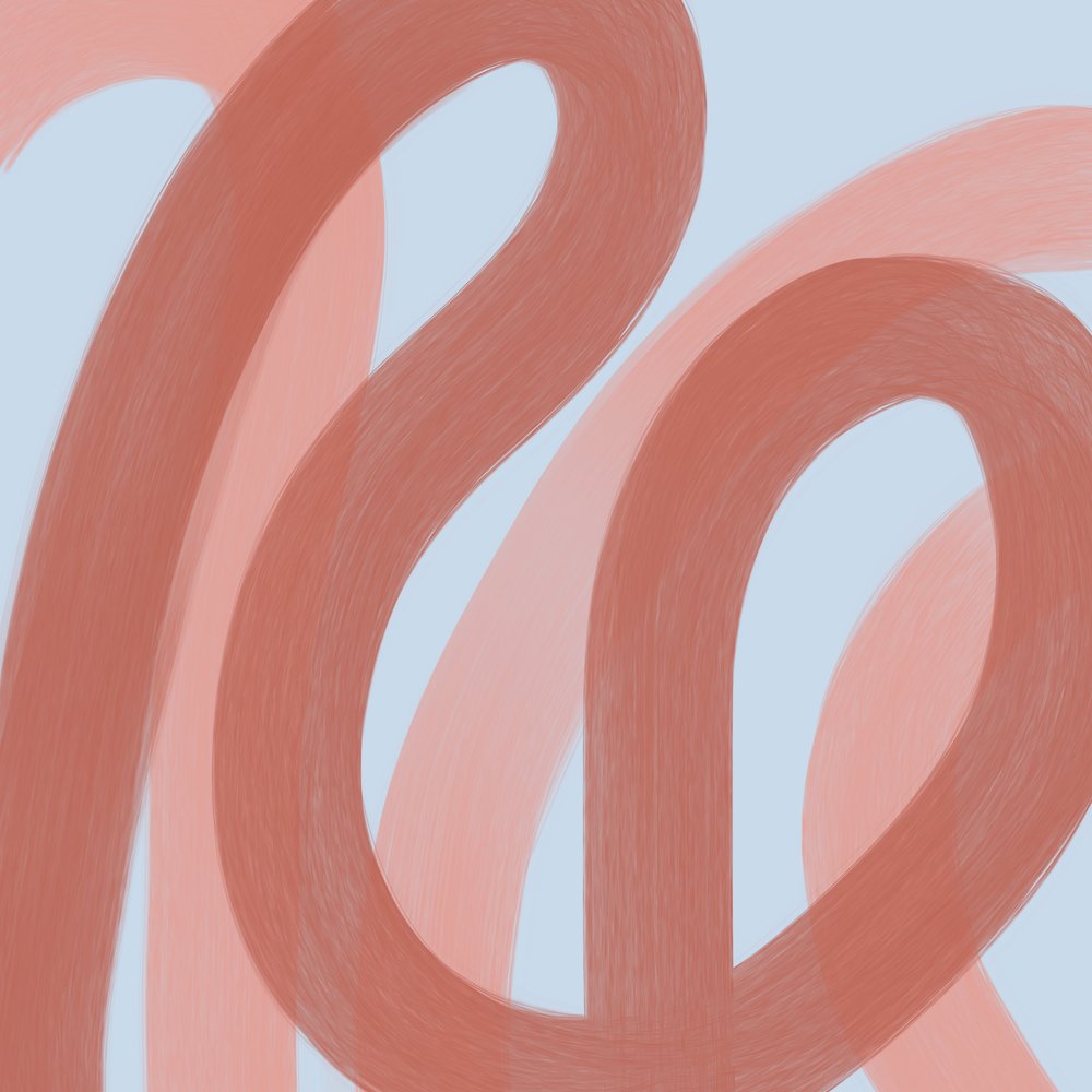 Flowing Terracotta Curves by Studio Palette