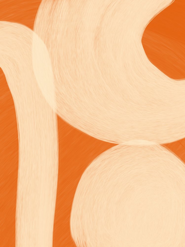 Soft Organic Shapes by Studio Palette