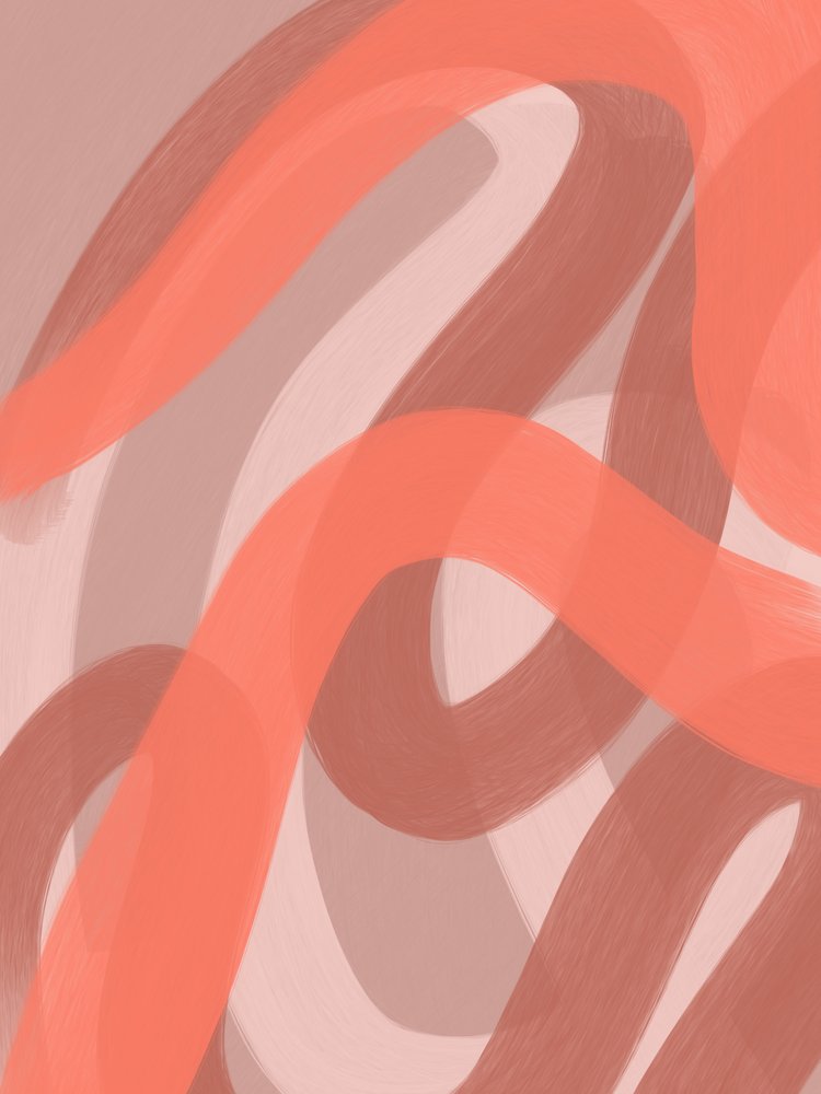 Warm Abstract Curves by Studio Palette