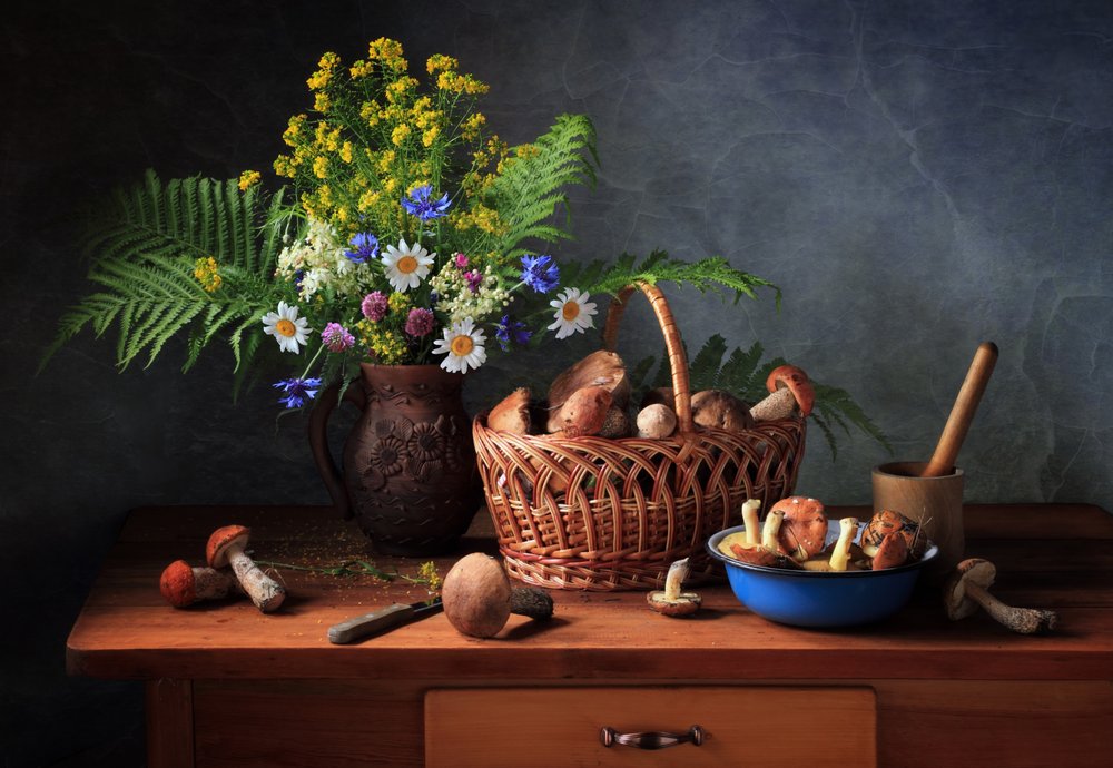 Forest Mushroom Harvest by Tatyana Skorokhod