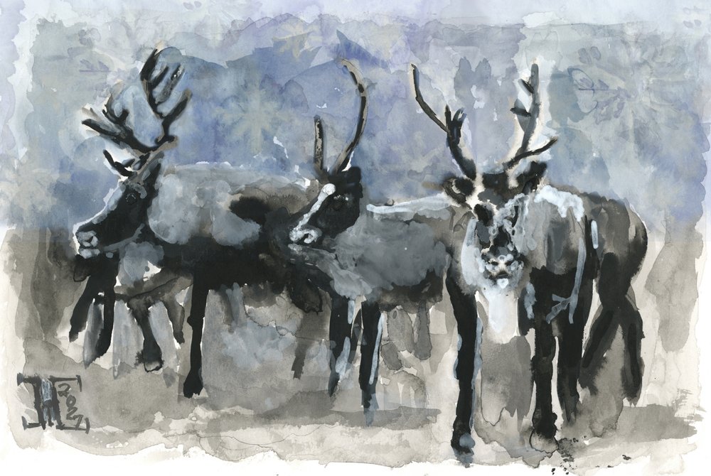 Three Reindeer in Winter by Tim Hoinkis