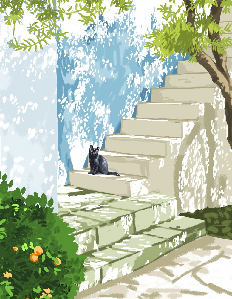 Black Cat Sunny Steps by Uma Gokhale
