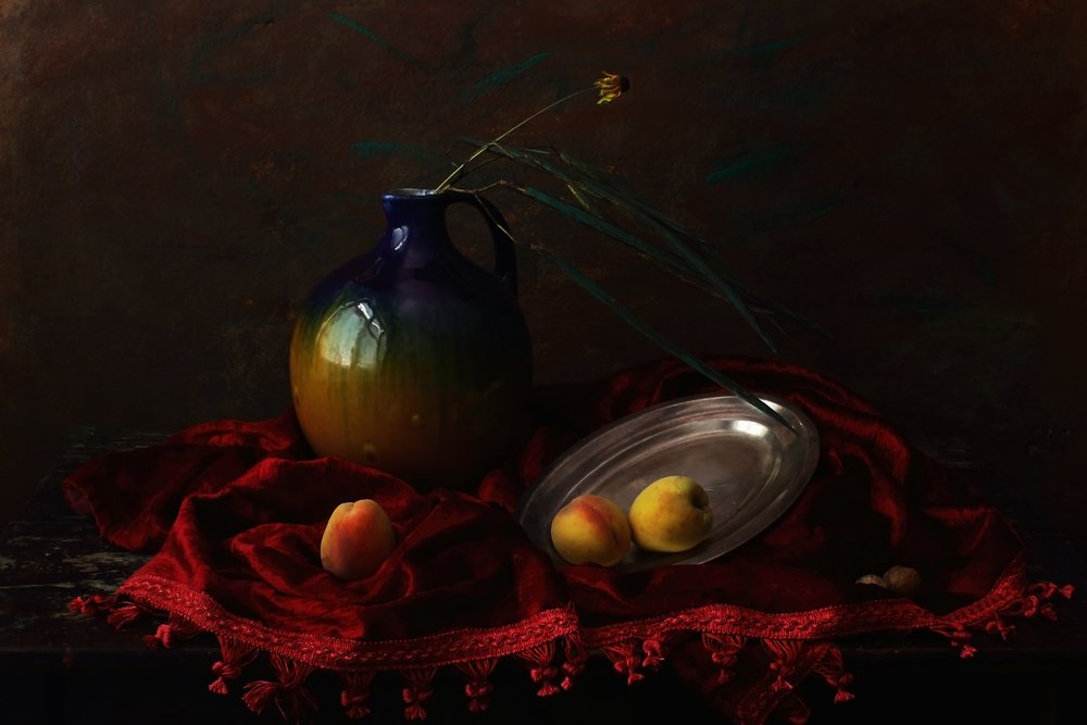 Dark Velvet Still Life by UstinaGreen