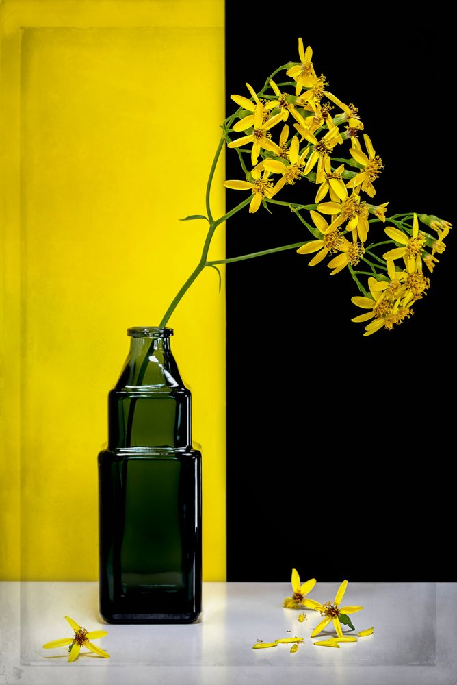 Yellow Flowers Modern Contrast by Vadim Kulinsky