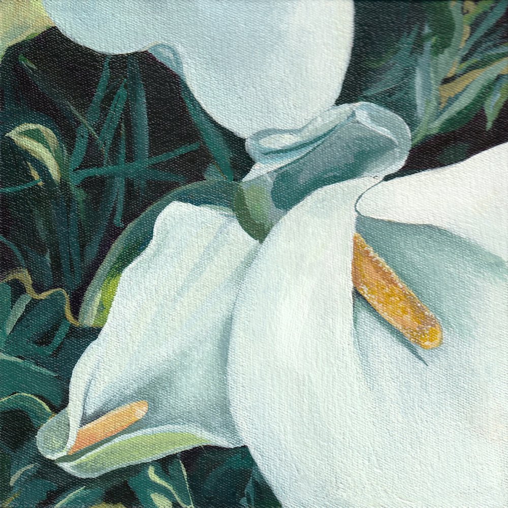 Elegant Calla Lilies by Viccy Wanliss