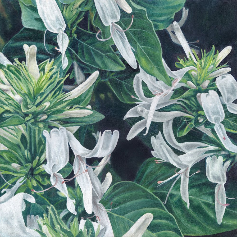 Elegant White Flowers by Viccy Wanliss