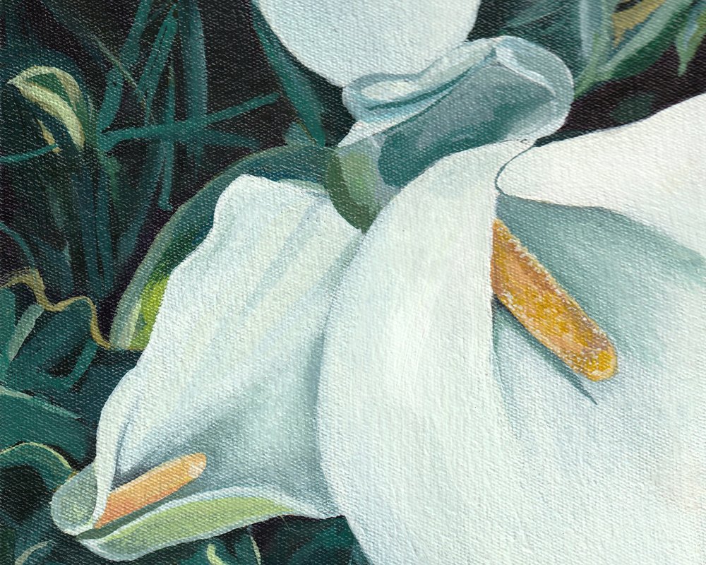 Elegant White Lilies by Viccy Wanliss