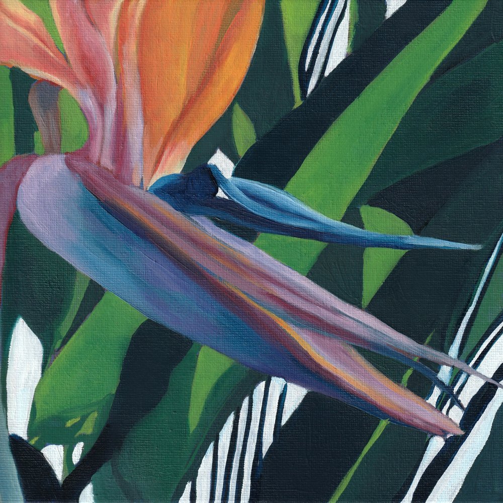 Vibrant Bird of Paradise by Viccy Wanliss