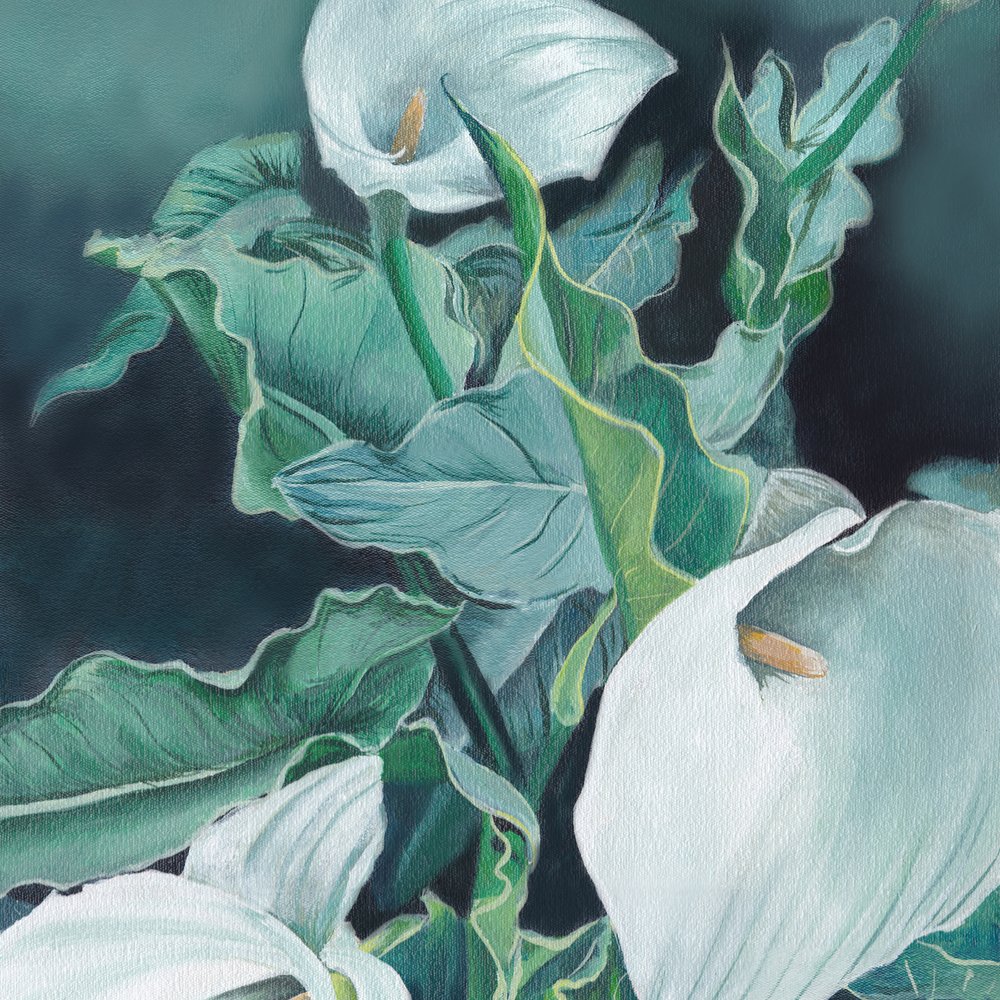 White Calla Lilies by Viccy Wanliss