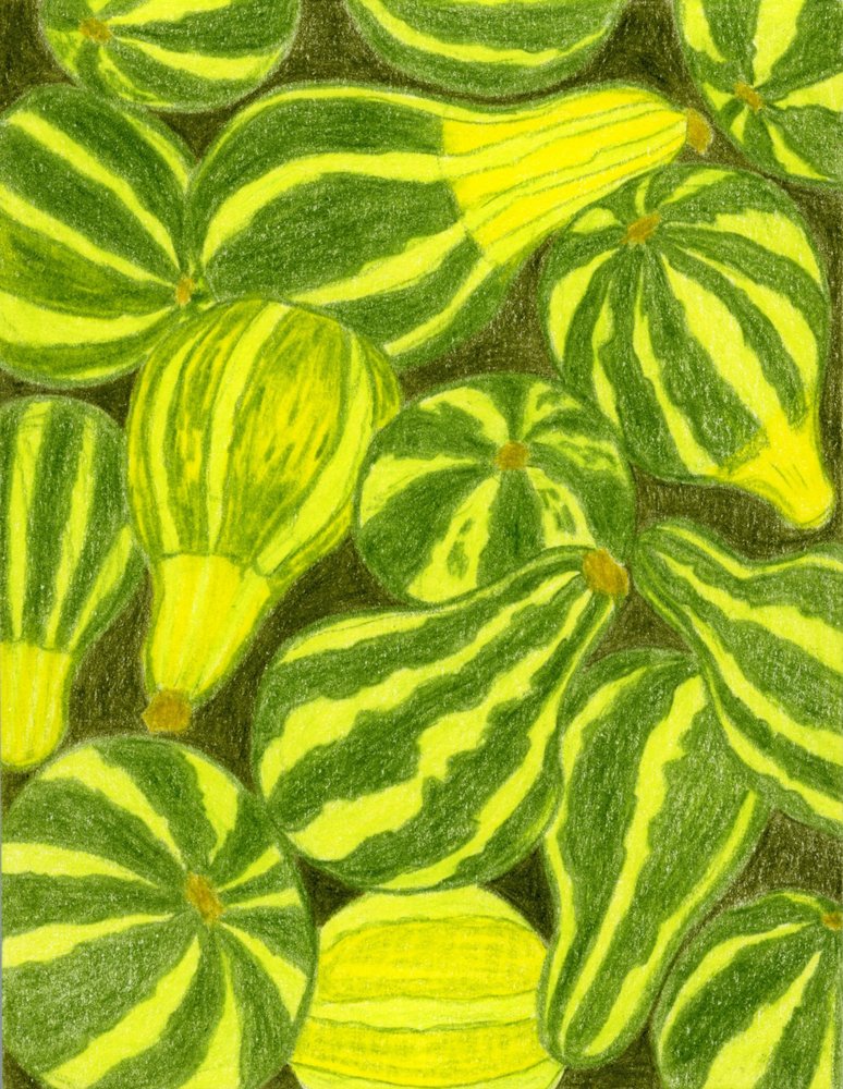 Vibrant Striped Gourds by Viktoriia Saunina