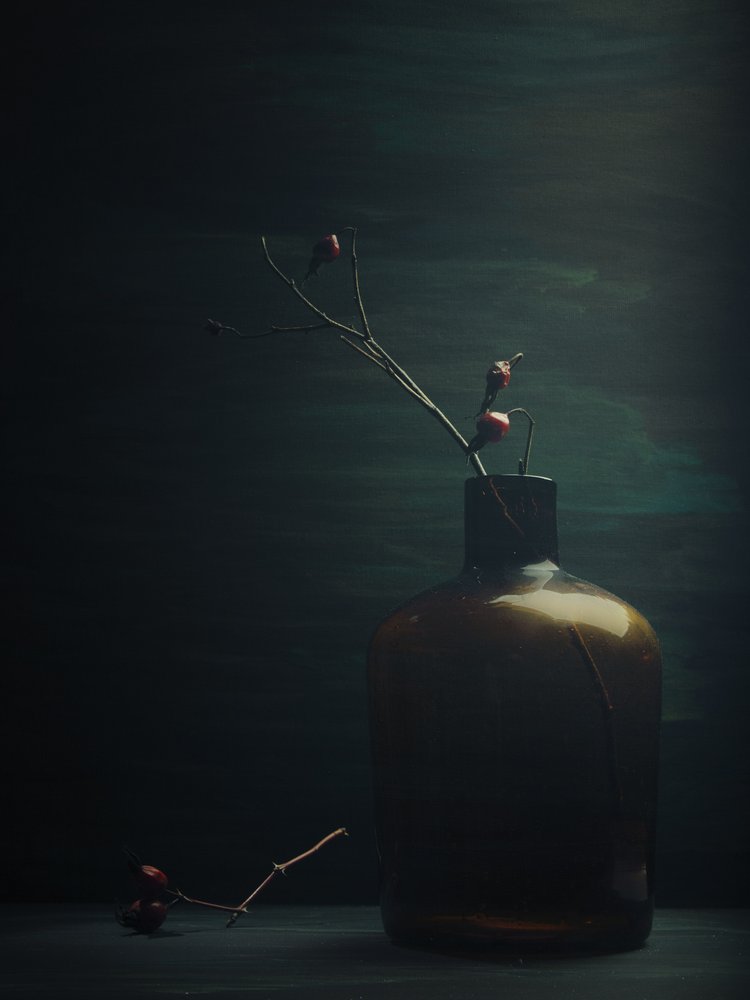 Quiet Rose Hips Bottle by Vladimir Pavlovskyy