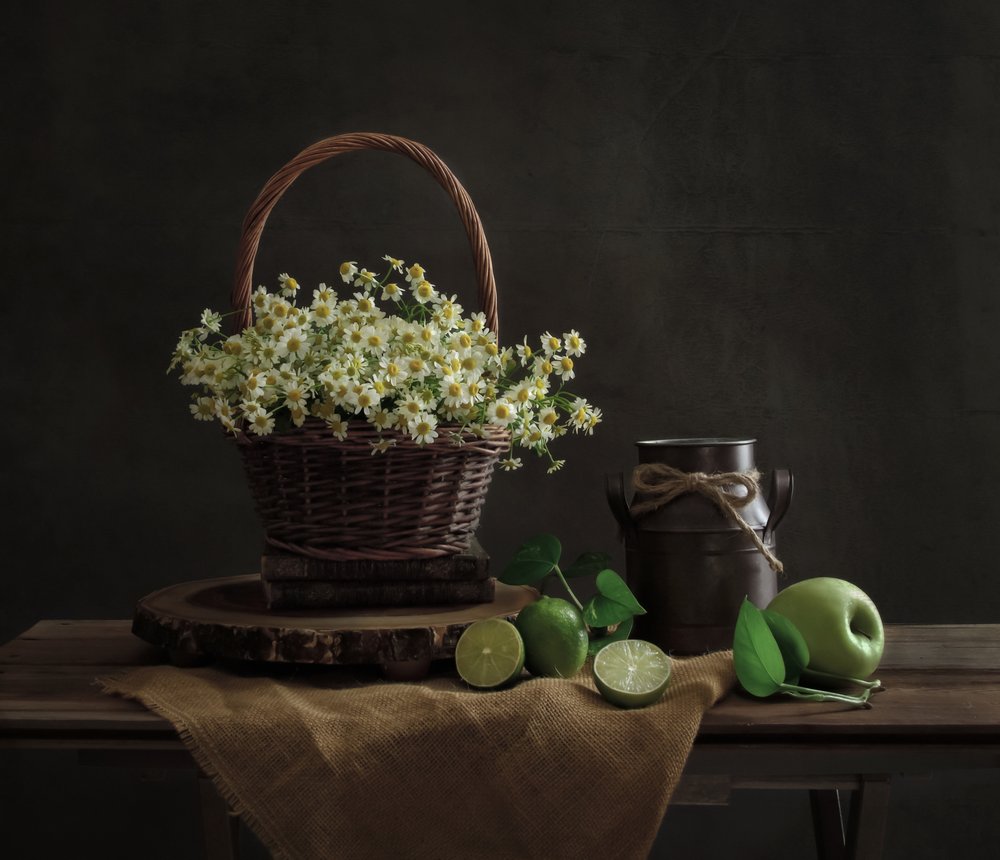 Rustic Daisy Still Life by Yinan F.