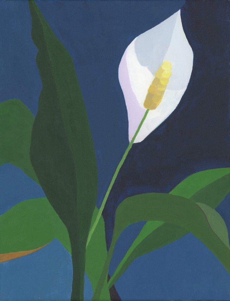 Elegant Peace Lily Bloom by Yvonne Gustafsson