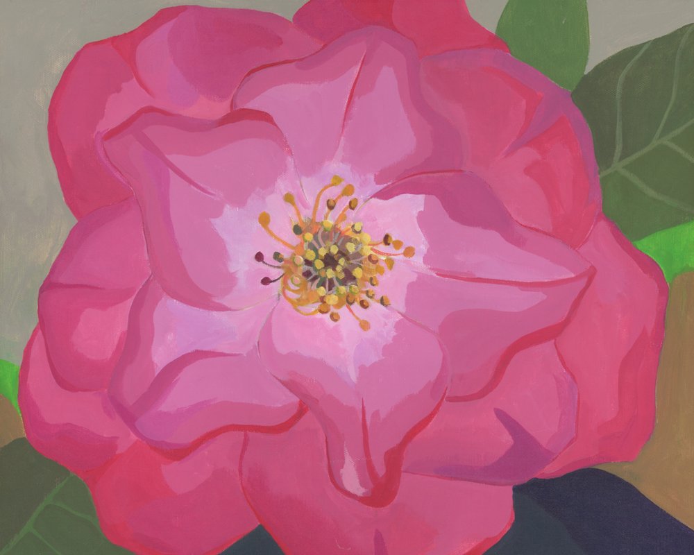 Vibrant Pink Rose by Yvonne Gustafsson