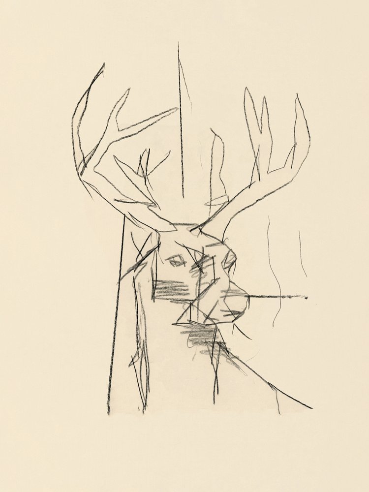 Abstract Deer Sketch by cartissi