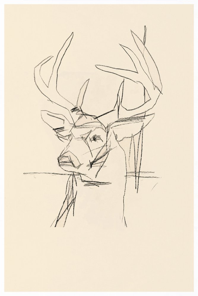 Abstract Deer Sketch by cartissi