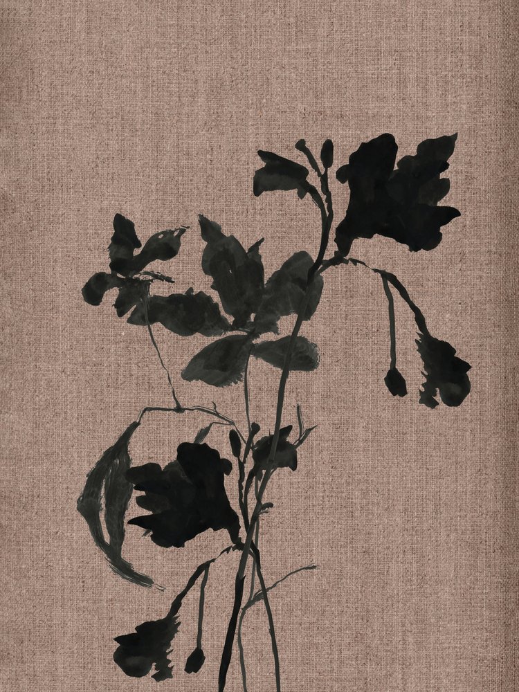 Black Botanical Silhouette by cartissi