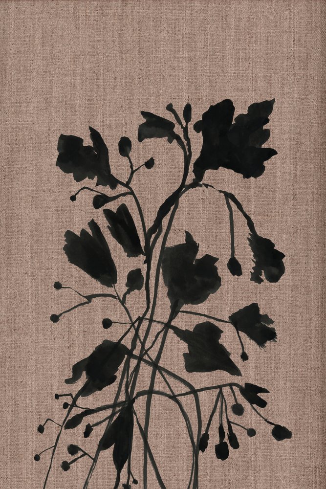 Black Botanical Silhouettes by cartissi