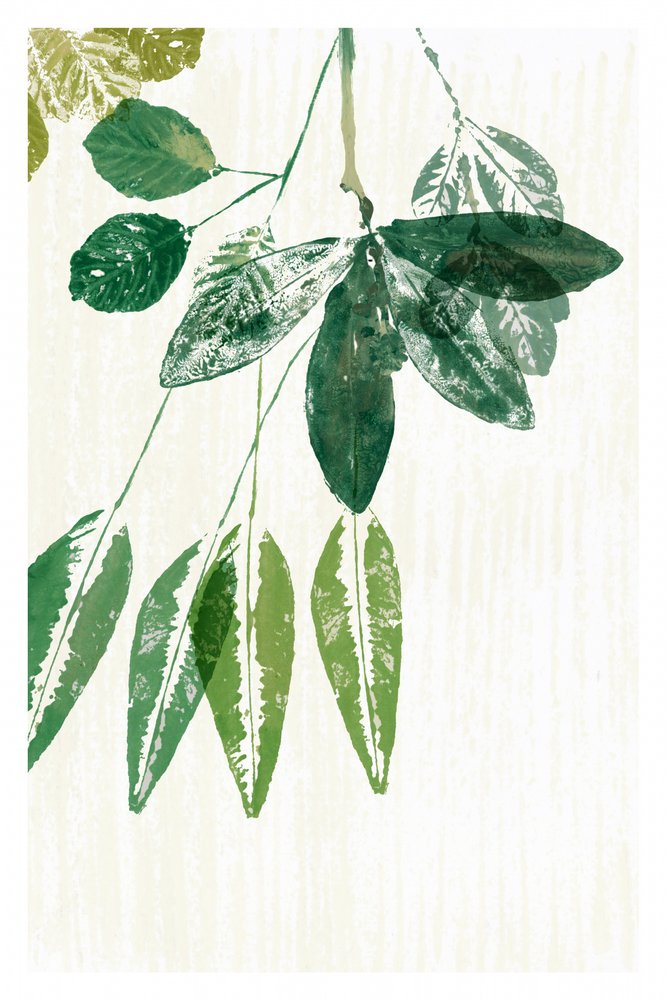 Botanical Green Leaves by cartissi