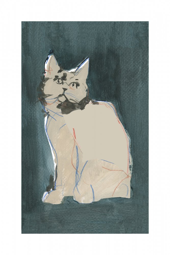 Curious Cat Gaze by cartissi