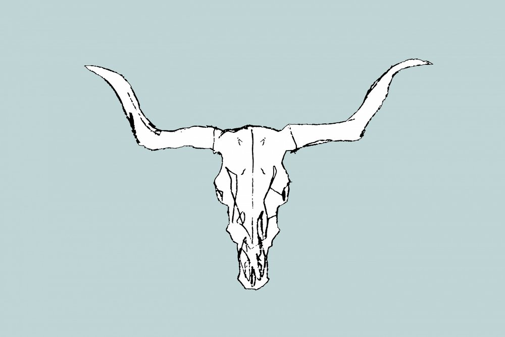 Desert Bull Skull by cartissi