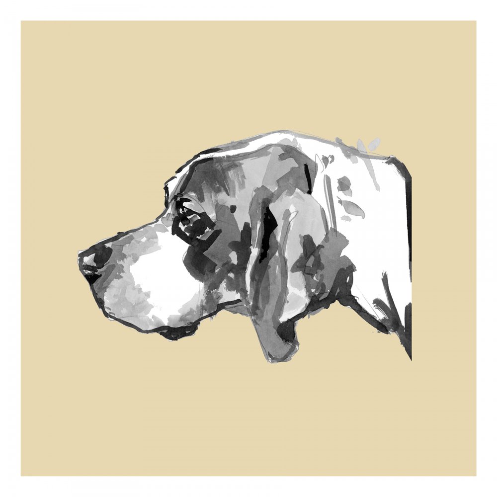 Elegant Dog Profile by cartissi