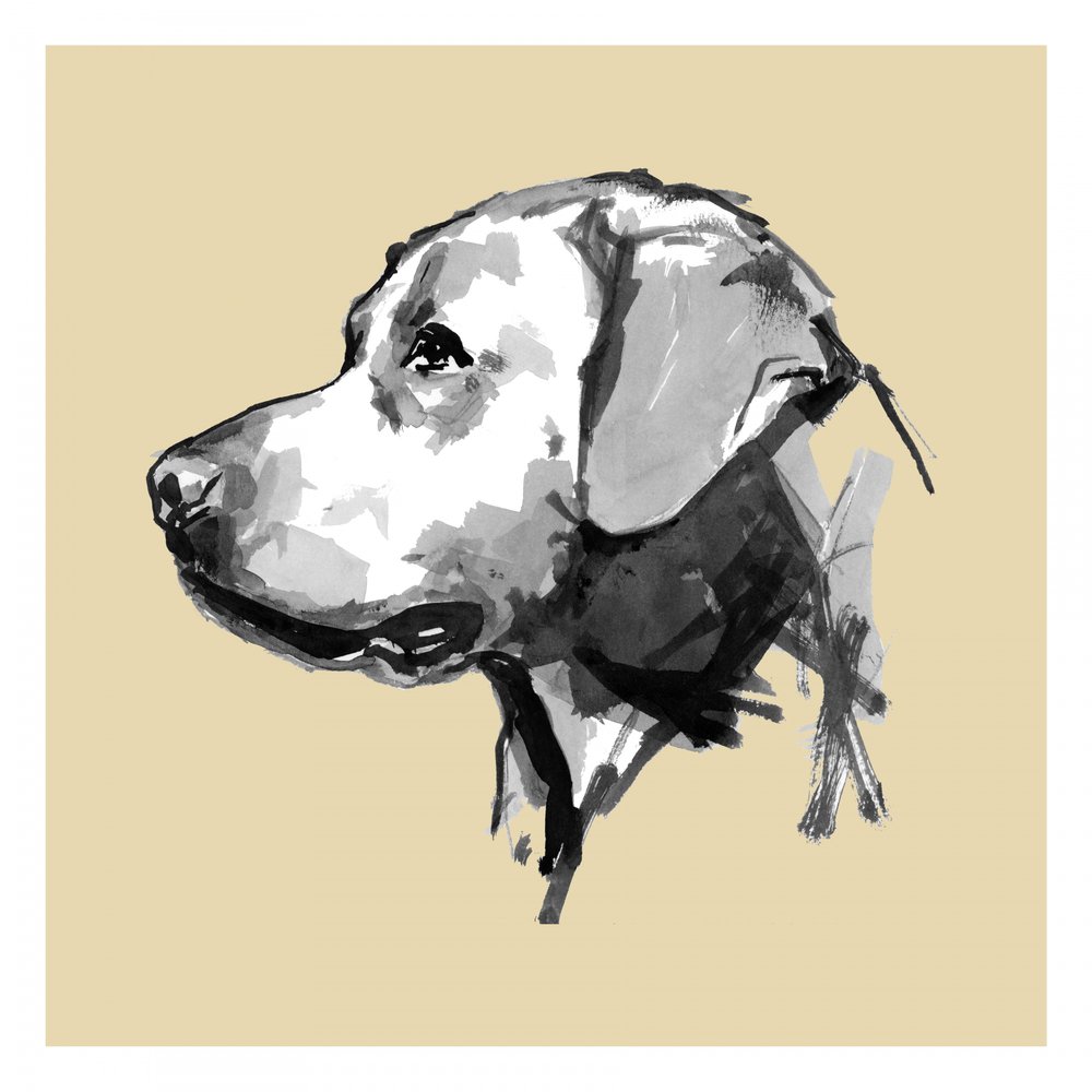 Expressive Dog Profile by cartissi