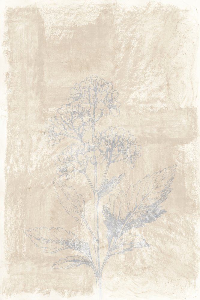 Faded Botanical Sketch by cartissi