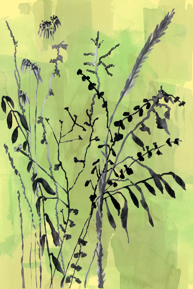 Green Botanical Silhouettes by cartissi