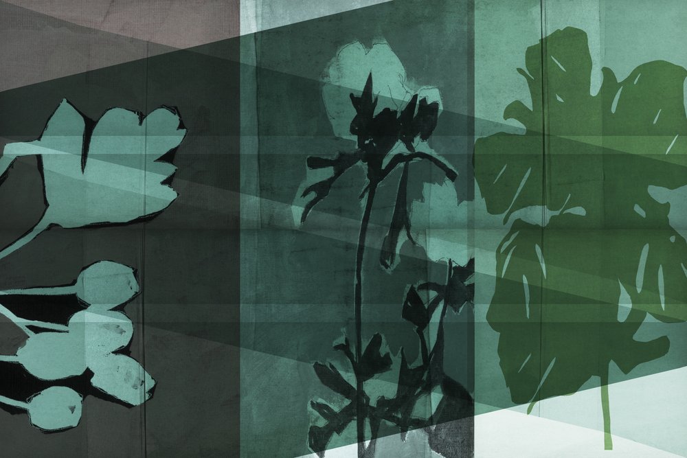 Layered Botanical Shadows by cartissi