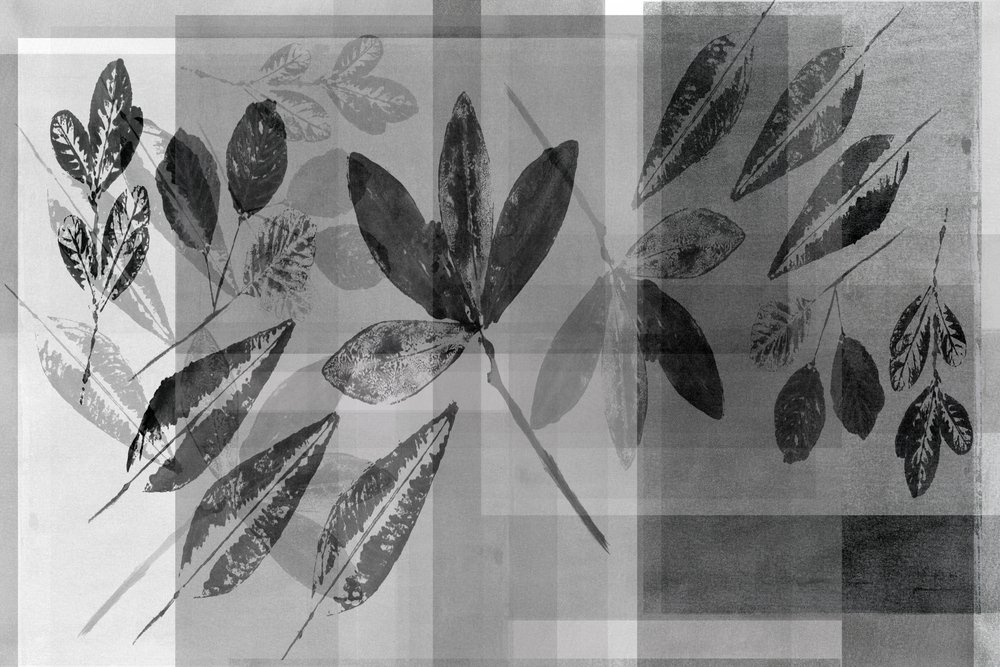 Monochrome Botanical Layers by cartissi