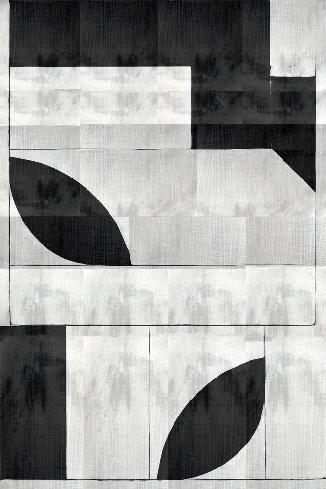 Monochrome Organic Shapes by cartissi