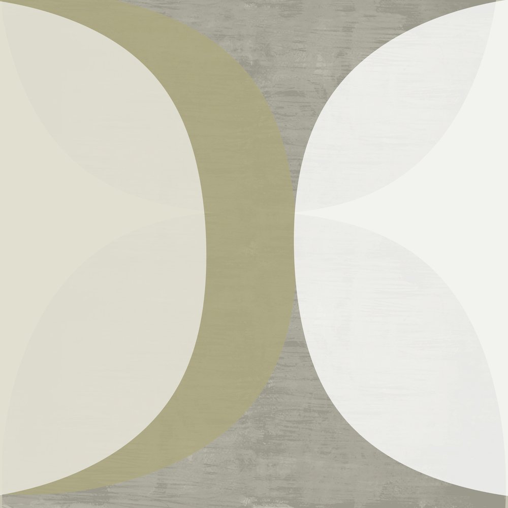Neutral Abstract Curves by cartissi